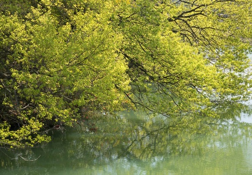 201404151139-DSC09392R.jpg