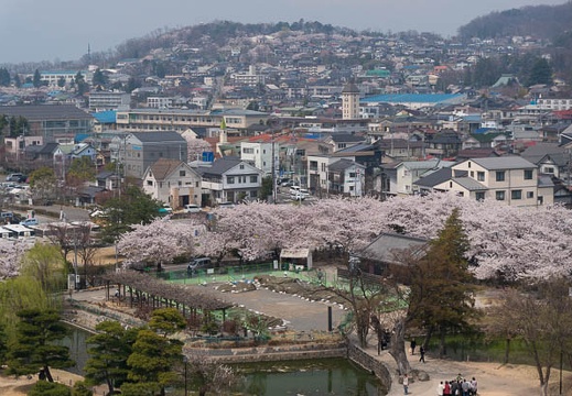 201404161121-DSC05591N.jpg