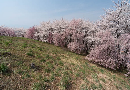 201404161305-DSC05748N.jpg