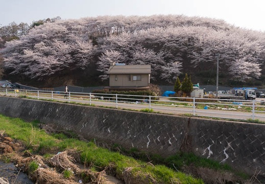 201404161512-DSC05889N.jpg