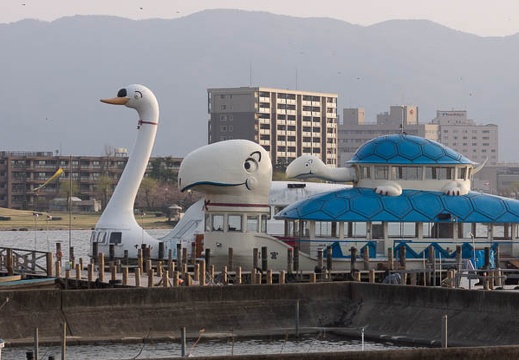 201404161717-DSC04906.jpg