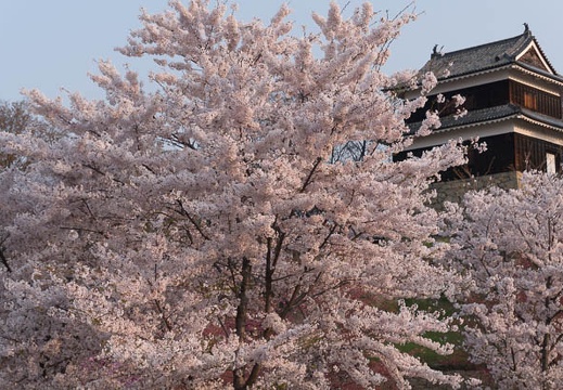 201404170634-DSC05952N.jpg
