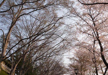 201404170647-DSC05978N.jpg
