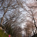 201404170647-DSC05978N.jpg