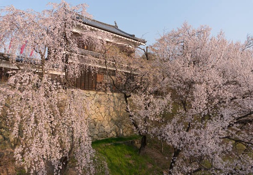 201404170657-DSC05999N.jpg