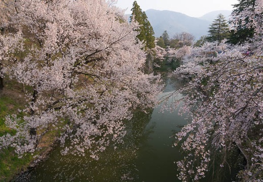 201404170657-DSC06002N.jpg