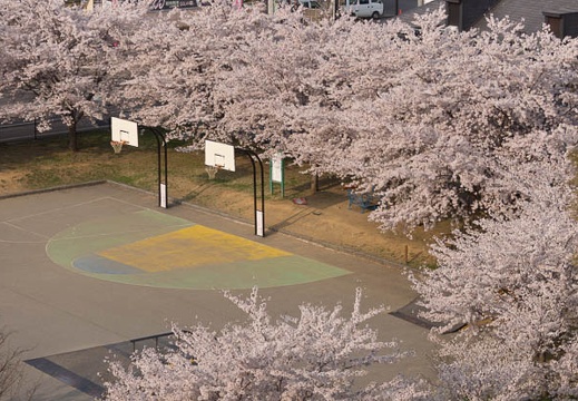 201404170711-DSC04950.jpg