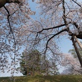 201404170733-DSC06122N.jpg