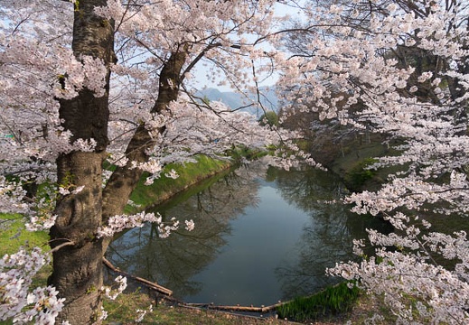 201404170759-DSC06160N.jpg
