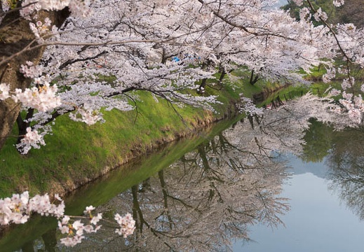 201404170801-DSC06165N.jpg