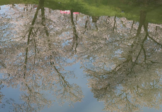 201404170849-DSC06277N.jpg