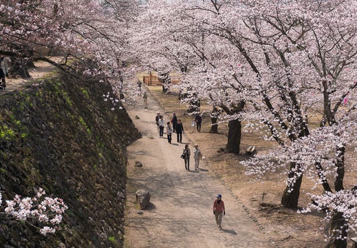 201404171013-DSC06370N.jpg