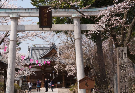201404171019-DSC06393N.jpg