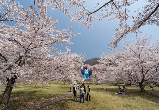 201404171247-DSC06487N.jpg