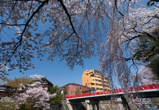 201404230906-DSC06762N.jpg