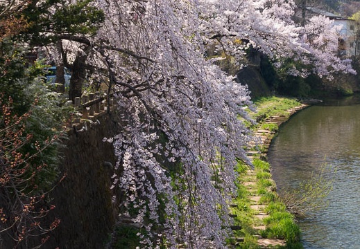 201404230932-DSC06813N.jpg