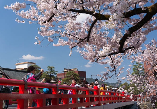 201404230948-DSC06849N.jpg