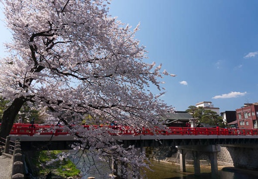 201404230950-DSC06865N.jpg