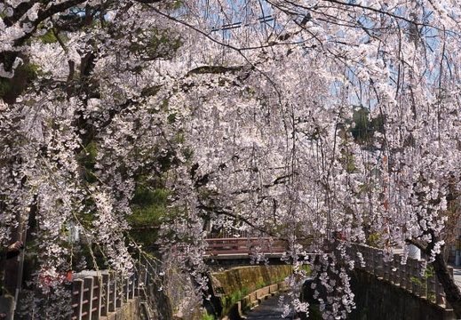 201404231220-DSC07073N.jpg