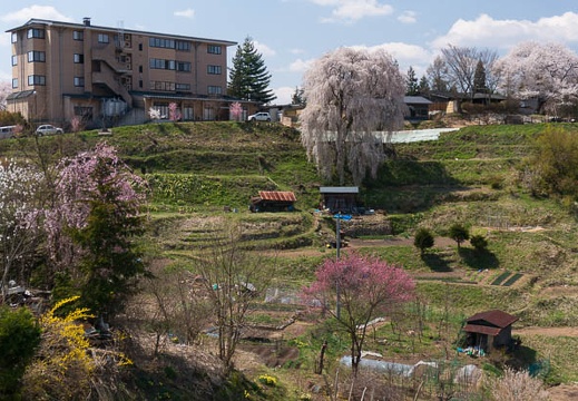 201404231313-DSC07111N.jpg