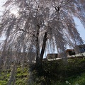 201404231333-DSC07176N.jpg