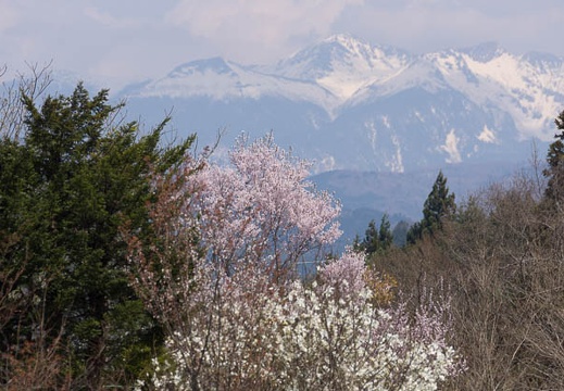 201404231339-DSC05531.jpg