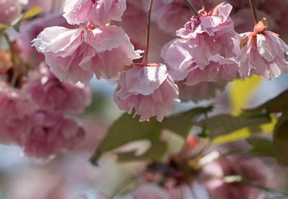 201404241240-DSC09690R.jpg