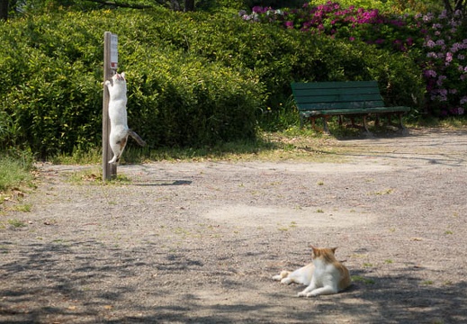201404241306-DSC09798R.jpg