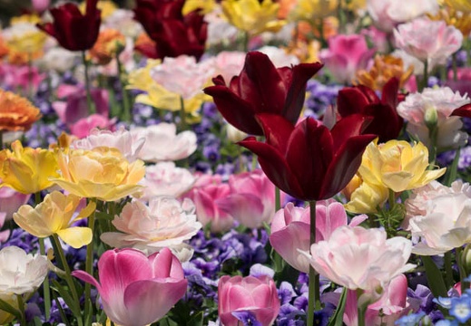 201404241328-DSC09846R.jpg
