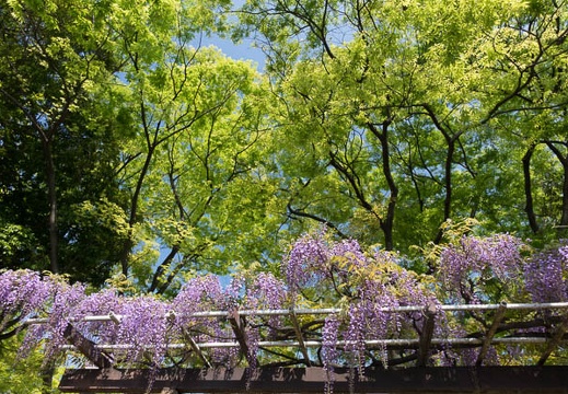 201404241416-DSC09940R.jpg