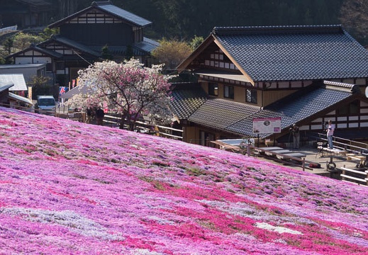201404250747-DSC05690.jpg