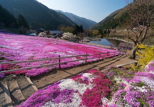 201404250748-DSC07435N.jpg