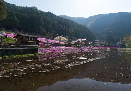 201404250810-DSC07509N.jpg