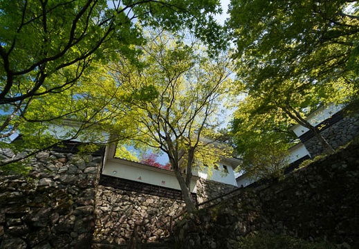 201404251001-DSC07688N.jpg