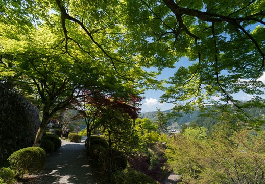 201404251001-DSC07690N.jpg