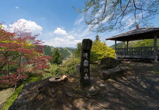 201404251040-DSC07757N.jpg