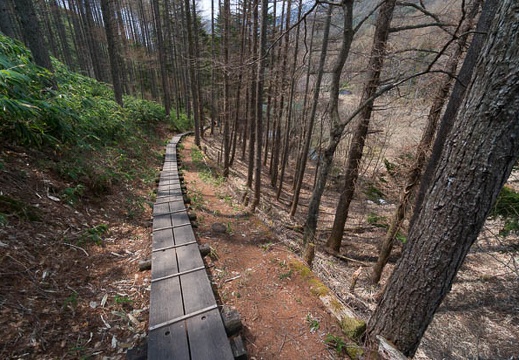 201404261112-DSC08034N.jpg