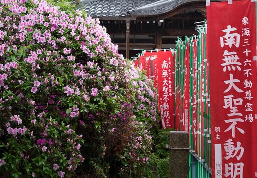 201404290919-DSC00548R.jpg