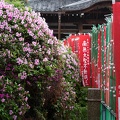 201404290919-DSC00548R.jpg