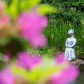 201404291215-DSC00708R.jpg