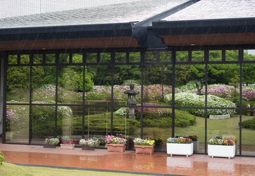 201404291255-DSC00770R.jpg