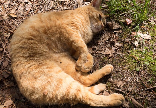 201405011416-DSC01030R.jpg