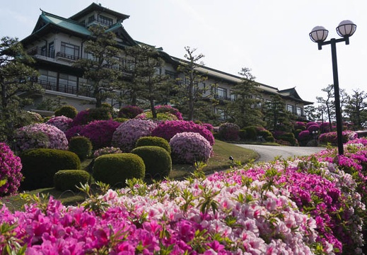 201405040812-DSC08881N.jpg