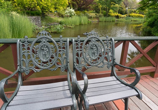 201405081137-DSC09244N6.jpg