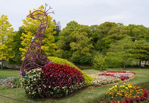 201405081146-DSC09249N6.jpg