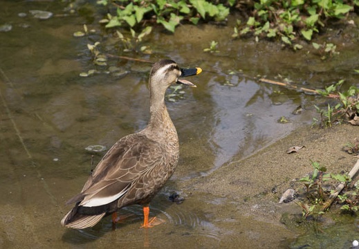 201405081434-DSC08013.jpg