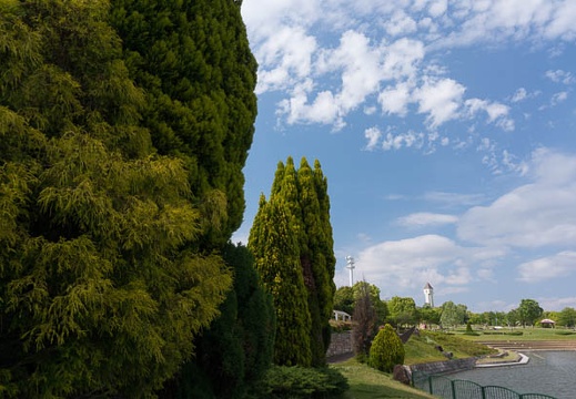 201405081456-DSC09291N6.jpg