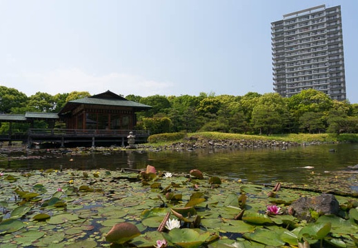 201405091329-DSC09326N6.jpg