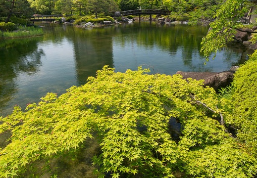 201405091344-DSC09338N6.jpg