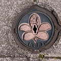 201405110812-DSC09374N6.jpg